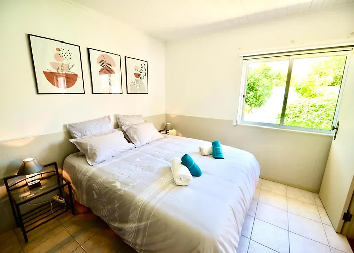 Laranjeira - House With Private Garden And Pool